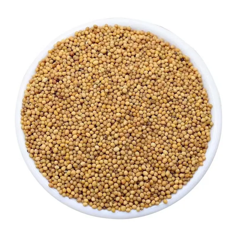 Spices Factory Wholesales High-quality Kitchen Seasonings Mustard Seeds Yellow M