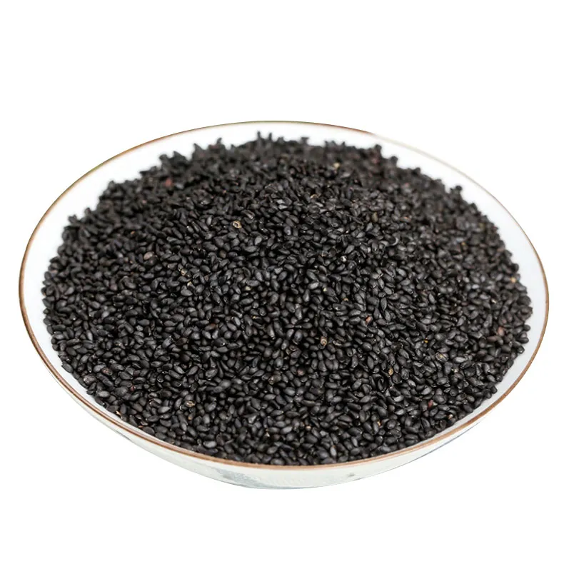 Qingchun Wholesale Supplier High Quality Basil Seeds Best Price