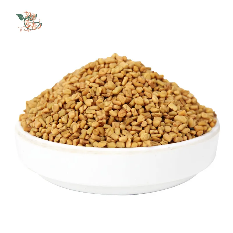 Wholesale Factory Price Bulk Natural Fenugreek Seeds for Sale
