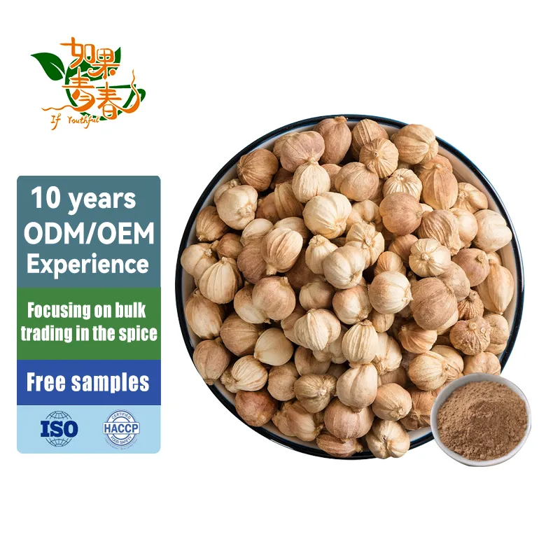 Premium Wholesale Original Spices Kravanh or Anomum Compactum Dried White Cardam