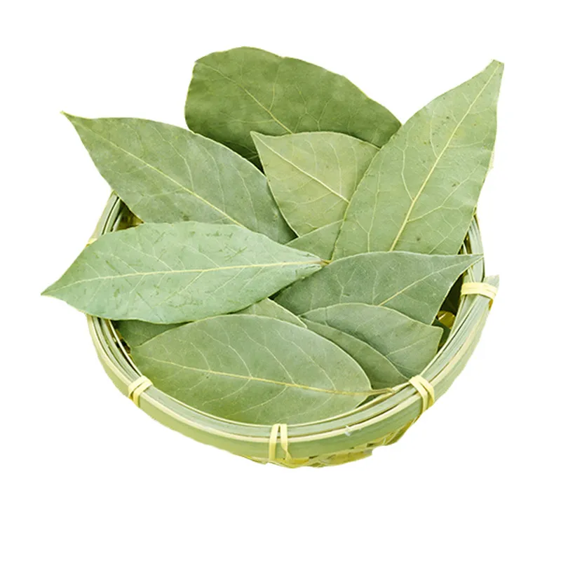 New Corp Bay Leaves Laurel Leaf 100% Natural Valuable Flavoring Gourmet Culinary