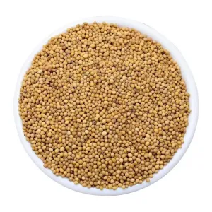 Spices Factory Wholesales High-quality Kitchen Seasonings Mustard Seeds Yellow M