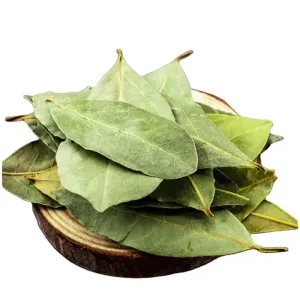 Factory Supply Wholesale Good Price Dehydrated Dried Natural Organic Bay Leaves
