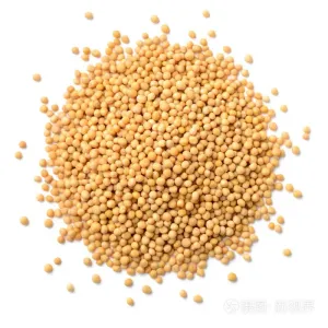High Quality Dry Yellow Mustard Seeds Natural Raw Grain Food Mustard Seeds Powde