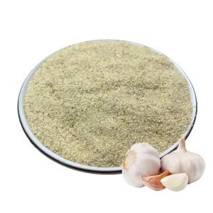 China Factory Directly Sell Roasted Garlic Powder for Food