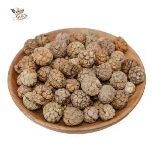 Qingchun High Quality Single Spices New Crop Herbal Teas  Galangal Seeds Dried S