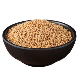 Good Wholesale Price Hot Product Custom Good Quality Yellow Mustard Seed