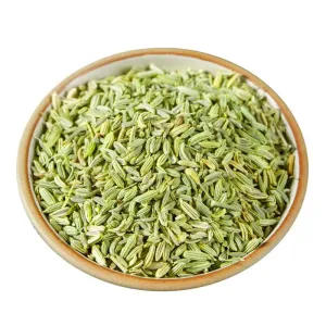 Qingchun Spice Wholesale  Green Fennel Seeds