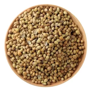 Wholesale Natural Dried Coriander Seeds Single Spices and Herbs Dried Coriander 
