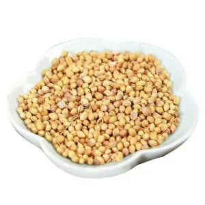 Wholesale Spices High Guality Coriander Seeds New Crop High Quality Core Product