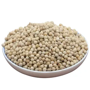 Qingchun Hot Selling 25kg Per Bag Wholes