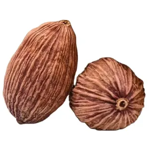 Qingchun Wholesale High Quality Natural Spices Dried Fructus Tsaoko Bulk Big Bla