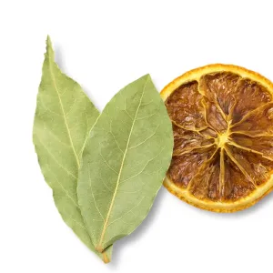 Factory Supply Yue Gui High Quality Chinese Dried Laurel Leaf Bay Leaves