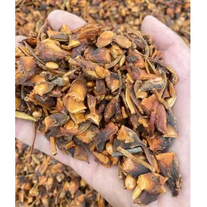 Qingchun Factor Wholesale Price Good High Quality Star Aniseed Chinese Autumn Br