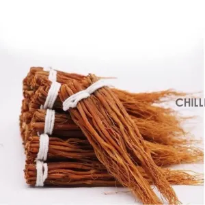 Qingchun Wholesale High Quality Red Ginseng Root Beard Fresh Stock
