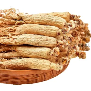Qingchun High Quality Original  Wholesale Natural Cultivated  Herb Whole Ginseng