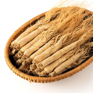Qingchun High Quality Raw White Asian Ginseng Root Dried P. Ginseng From Jilin C