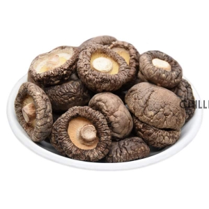 Qingchun High Quality Organic Dried Shii